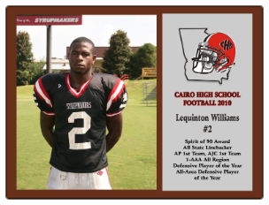 Solo FB 15 Solo FB 15