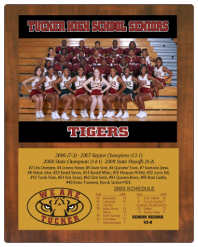 Senior Team 15 Senior Team 15